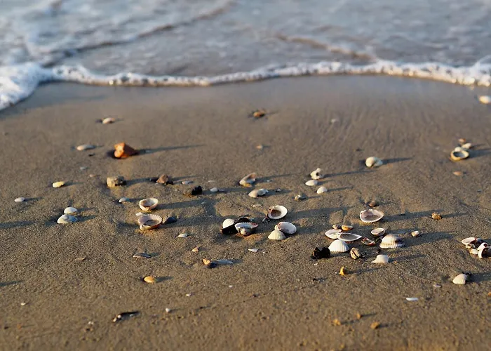 Apartment Enjoy Our Colorful Flat With Sea View - Beahost