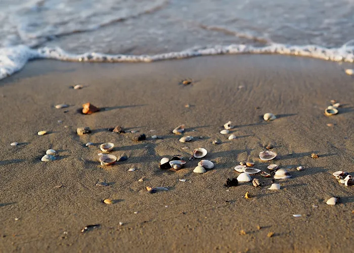 Enjoy Our Colorful Flat With Sea View - Beahost *